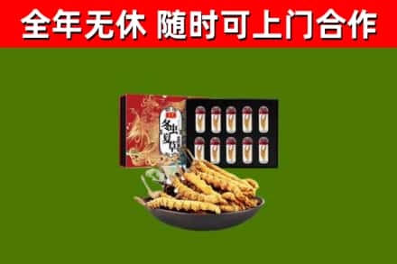 宿松县回收冬虫夏草价格